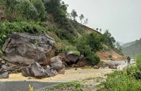 Ảnh minh họa.