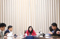 Thứ trưởng Ngoại giao Lê Thị Thu Hằng điện đàm với Thứ trưởng Ngoại giao Kyrgyzstan. (Ảnh: Báo Thế giới và Việt Nam)
