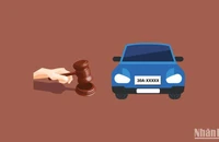[Infographic] Một số lưu ý khi tham gia đấu giá biển số xe ô-tô