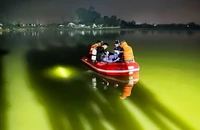 Lực lượng chuyên nghiệp tìm kiếm nạn nhân trong đêm.