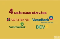 [Infographic] Thời gian, địa điểm 4 ngân hàng bán vàng trực tiếp cho người dân