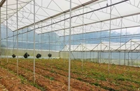 Nguồn vốn vay được Hợp tác xã dịch vụ nông nghiệp tổng hợp Tân Tiến, thành phố Đà Lạt (Lâm Đồng) đầu tư hiệu quả.