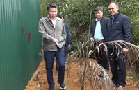 Giám đốc Công an tỉnh Phú Thọ Nguyễn Minh Tuấn kiểm tra tại hiện trường.