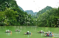 Ảnh minh họa: Du khách tham quan Khu bảo tồn vườn chim Thung Nham (Ảnh: @thungnhamecotourismzone)