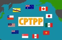 Việt Nam hợp tác với Canada về quản lý sở hữu trí tuệ theo CPTPP