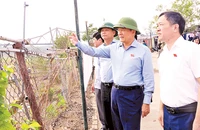 Trước phiên giải trình, các đoàn công tác của Hội đồng nhân dân thành phố Hà Nội đã tiến hành khảo sát thực địa tại nhiều khu vực bãi sông, ngoài đê sông Hồng, sông Đuống.