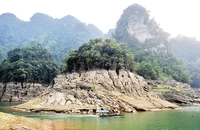 Hệ sinh thái đa dạng tại Khu bảo tồn thiên nhiên Na Hang-Lâm Bình.