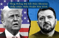 [Video] Tổng thống Mỹ D. Trump hối thúc Ukraine chấp nhận thỏa thuận hòa bình