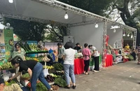Để người dân xứng đáng được hưởng những giá trị thật từ không gian phố đi bộ Hồ Gươm chứ không phải không gian như những phiên chợ "nhếch nhác" làm xấu đi hình ảnh Hồ Gươm trong mắt du khách trong và ngoài nước. (Ảnh: VGP)