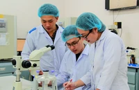 Nghiên cứu khoa học tại Đại học Quốc gia Thành phố Hồ Chí Minh
