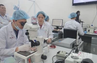 Hoạt động nghiên cứu khoa học tại Đại học Quốc gia Thành phố Hồ Chí Minh.