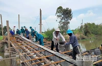 Quân và dân xã Đốc Binh Kiều chung tay xây dựng cầu nông thôn. (Ảnh: HOÀNG KHA)