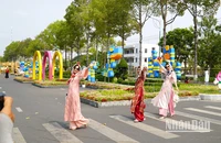 Nhiều du khách, nghệ sĩ nhiếp ảnh đã tìm đến đường hoa ngay sau ngày khai mạc. (Ảnh: HỮU NGHĨA)