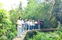 Du khách trẻ tham quan, trải nghiệm dưới tán rừng tràm xanh mướt tại Xẻo Quít, khu “căn cứ lòng dân”. (Ảnh: HỮU NGHĨA)