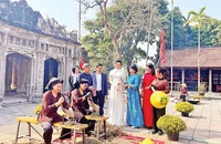 Làng nghề trồng và chế biến dược liệu truyền thống tại huyện Gia Viễn. (Ảnh YẾN TRINH)
