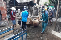 Dịch bệnh viêm da nổi cục trên gia súc gây thiệt hại nặng cho nông dân thị xã Đức Phổ.