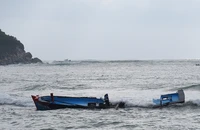 Ảnh minh họa.