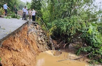 Lũ lớn khiến bờ sông Vệ đoạn qua thôn Thuận Hòa, xã Hành Thịnh, huyện Nghĩa Hành bị sạt lở nặng, xói sâu vào nền đường của tuyến đường ĐT.624B.