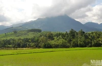 Núi Cao Muôn ở xã Ba Vinh, huyện Ba Tơ (Quảng Ngãi), nơi Đội du kích Ba Tơ huyền thoại hô vang lời thề: “Hy sinh vì Tổ quốc”.