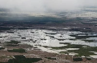 Toàn cảnh cánh đồng bị ngập úng sau khi mưa lớn xuất hiện tại Baidoa, Somalia, ngày 16/11/2023. Ảnh: Reuters