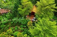 Suối Rao Ecolodge là đơn vị tiên phong trong hành trình tiến tới trung hòa carbon.