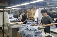 Do tổng cầu giảm, nhu cầu về vốn của nhiều doanh nghiệp dệt may cũng không cao như năm 2022.