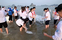 Thả 5 triệu con giống thuỷ sản xuống Vịnh Bắc bộ