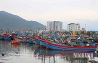 Việt Nam đã đạt được một số kết quả nổi bật trong chống khai thác IUU.