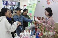 Khách hàng mua sắm tại Hội chợ.