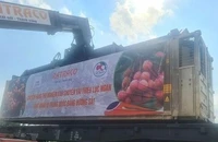Lô hàng vải thiều đầu tiên xuất khẩu bằng đường sắt sang Trung Quốc.
