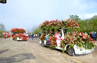 Lễ hội hoa hồng tổ chức tại Sa Pa luôn thu hút du khách trong kỳ nghỉ lễ 30/4 và 1/5. (Ảnh: QUỐC HỒNG)
