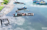 Cảng Sa Huỳnh có khoảng 26 xác tàu, tàu nằm bờ hư hỏng ngổn ngang.