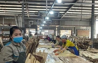 Sản xuất ván ép xuất khẩu tại Công ty cổ phần Sơn Thủy, tỉnh Hòa Bình. (Ảnh VŨ HOÀNG )