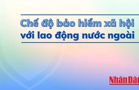 Đồ họa: Phương Nam.