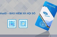 Lừa đảo cấp lại mật khẩu VssID, chiếm đoạt tiền của người lao động