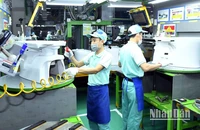 Người lao động tại Công ty Toto Việt Nam, khu công nghiệp Thăng Long, Hà Nội. (Ảnh: MINH HÀ)