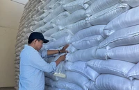 Gạo dự trữ quốc gia. (Ảnh: GDSR)