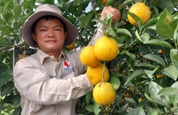 Ảnh minh họa: nhandan.vn.