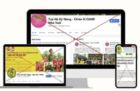 Một số trang giả mạo.