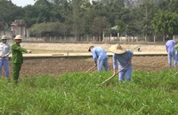 Học viên tham gia lao động sản xuất.