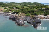 Di tích quốc gia đặc biệt thắng cảnh Gành Đá Đĩa, huyện Tuy An (Phú Yên).