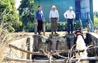 Công ty trách nhiệm hữu hạn một thành viên Quản lý công trình thủy lợi Đắk Lắk hỗ trợ máy bơm bơm nước chống hạn cho cây trồng trên địa bàn huyện Lắk.