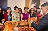 Một hoạt động giới thiệu sản phẩm vải thiều Việt Nam tại Thái Lan.