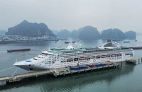 Tàu Pacific World cập cảng tàu khách quốc tế Hạ Long.