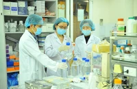 Phê duyệt Chiến lược quốc gia về thu hút, trọng dụng nhân tài