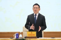Phó Thủ tướng Chính phủ Hồ Đức Phớc phát biểu ý kiến tại cuộc họp (Ảnh: TRẦN MẠNH/VGP).