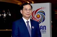 Phó Thủ tướng, Bộ trưởng Ngoại giao Bùi Thanh Sơn. (Ảnh: BNG)