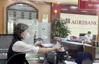 Ngân hàng Nhà nước Việt Nam yêu cầu các tổ chức tín dụng tiếp tục đẩy mạnh cho vay hỗ trợ lãi suất theo Nghị định số 31.