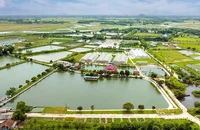 Trang trại sản xuất nông nghiệp tổng hợp của Hợp tác xã Nga Hải, huyện Nghi Xuân, tỉnh Hà Tĩnh. (Ảnh ĐẬU HÀ)