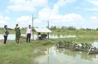Bà Hữu Thị Thê có con trai mãn hạn tù vay vốn chính sách để cải tạo ao nuôi tôm. (Ảnh: Cổng thông tin Chính phủ)